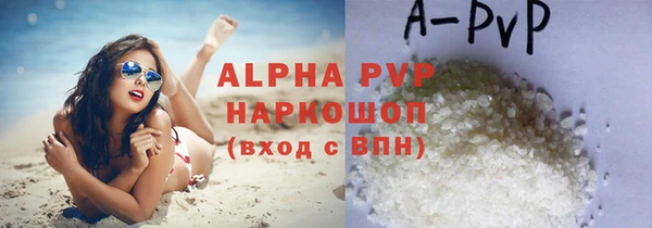 эйфоретик Ельня