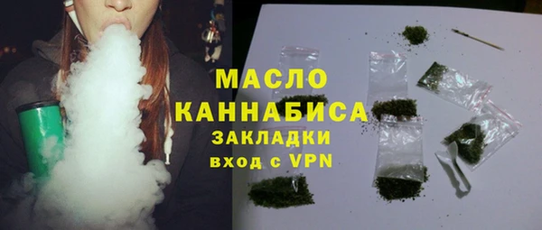 эйфоретик Ельня