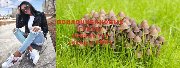 дживик Зеленодольск