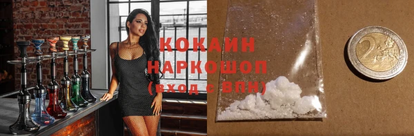 СК Зерноград