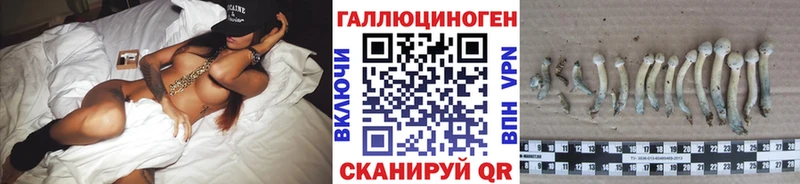 Псилоцибиновые грибы Cubensis  закладка  Биробиджан 