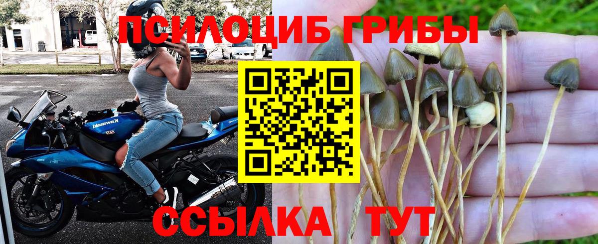 Галлюциногенные грибы прущие грибы Биробиджан