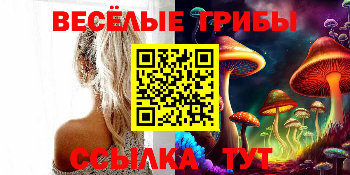 Биробиджан  Псилоцибиновые грибы Cubensis  Вход с VPN 